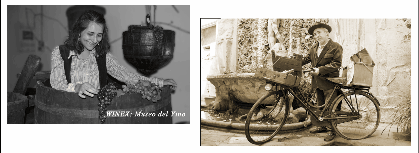 Winex, Museo del Vino, Daviddino, Cucina etrusca bicicletta enologo